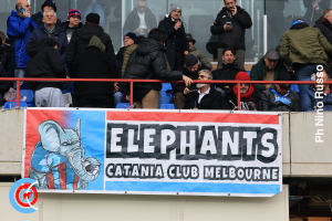 Catania-Cosenza 2-0 (i tifosi)