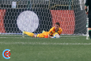 Avellino-Catania 2-2