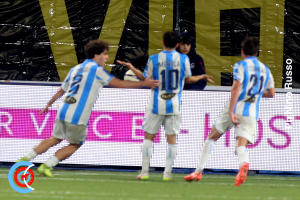 Catania-Pescara 0-1 playoff