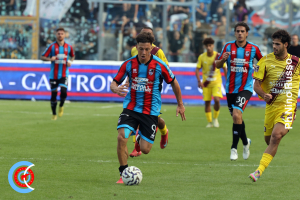 Catania-Salernitana 2-0